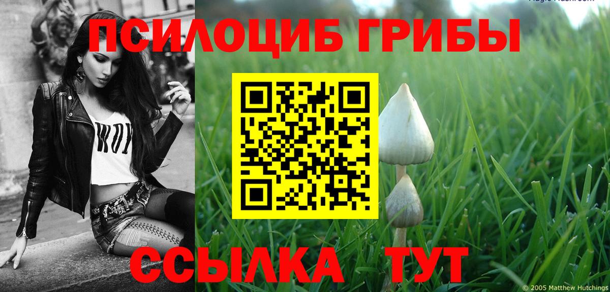 Галлюциногенные грибы Cubensis  Вход с VPN  Альметьевск 